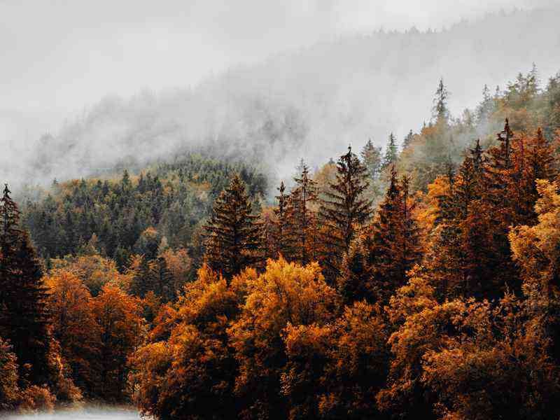 杭州为何是养生疗愈之城